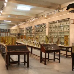 Karaj Museum of Anthropology - Karaj