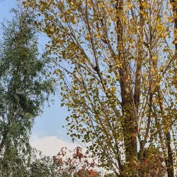 Vardavard Park - Karaj