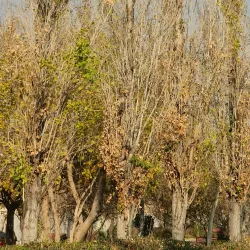 Vardavard Park - Karaj