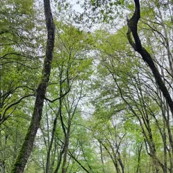 Caspian Sea Coastal Walks - Kelachay