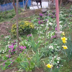 Nearby Historical Villages - Kelachay