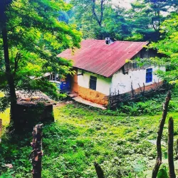 Siahkal Forests - Kelachay