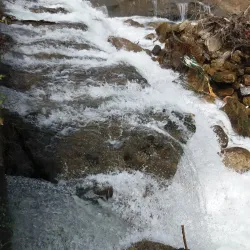 Siahkal Forests - Kelachay