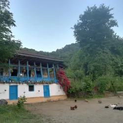 Siahkal Forests - Kelachay