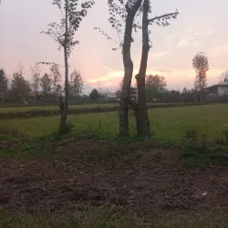 Siahkal Forests - Kelachay