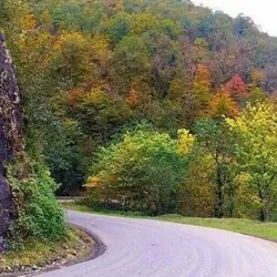 Siahkal Forests - Kelachay