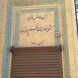 Jameh Mosque of Kerman - Kerman