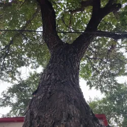 Khorramabad Traditional Bazaar - Khorramabad