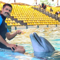 Dolphin Park - Kish