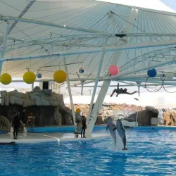 Dolphin Park - Kish