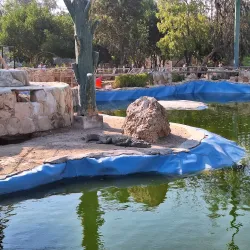 Dolphin Park - Kish
