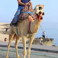 Greek Ship (Khoula F) - Kish