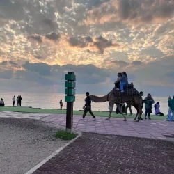 Greek Ship (Khoula F) - Kish