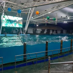 Kish Aquarium - Kish