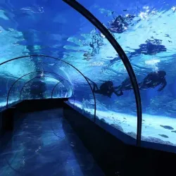 Kish Aquarium - Kish