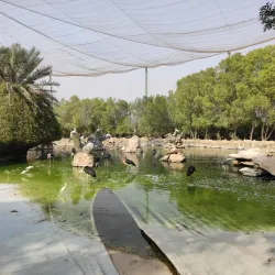 Kish Aquarium - Kish