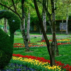 Mellat Park - Mashhad