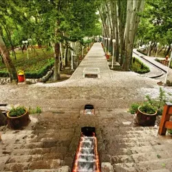 Vakilabad Forest Park - Mashhad