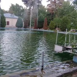 Vakilabad Forest Park - Mashhad