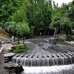 Vakilabad Forest Park - Mashhad
