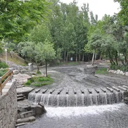 Vakilabad Forest Park - Mashhad