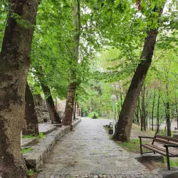 Vakilabad Forest Park - Mashhad