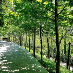 Local Parks and Green Spaces - Masjed Soleyman