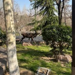 Local Parks and Green Spaces - Masjed Soleyman