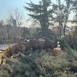 Local Parks and Green Spaces - Masjed Soleyman