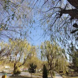 Local Parks and Green Spaces - Masjed Soleyman