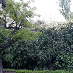 Local Parks and Green Spaces - Masjed Soleyman