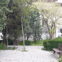 Local Parks and Green Spaces - Masjed Soleyman