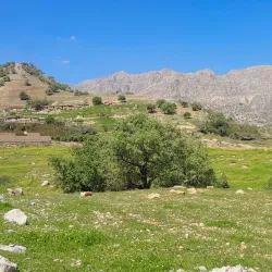 Zagros Mountains - Masjed Soleyman