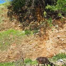 Zagros Mountains - Masjed Soleyman