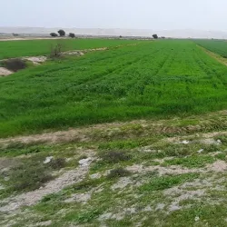 Zagros Mountains - Masjed Soleyman