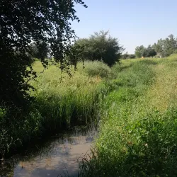 Zagros Mountains - Masjed Soleyman