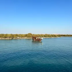 Mangrove Forests of Hara Protected Area - Minab