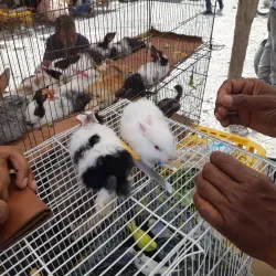 Minab Bazaar - Minab