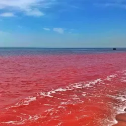 Persian Gulf Coastline near Minab - Minab