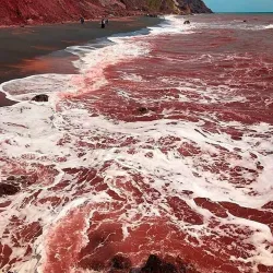 Persian Gulf Coastline near Minab - Minab