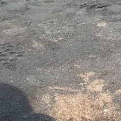 Persian Gulf Coastline near Minab - Minab