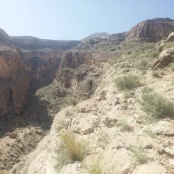 Traditional Date Palm Groves - Minab