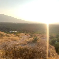 Traditional Date Palm Groves - Minab