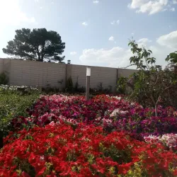 Najafabad Parks and Gardens - Najafabad