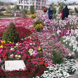 Najafabad Parks and Gardens - Najafabad