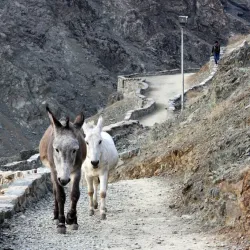Nearby Mountain Hiking Trails - Nurabad