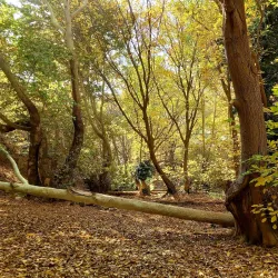 Tang-e Bostanak - Nurabad