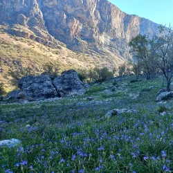 Tang-e Bostanak - Nurabad