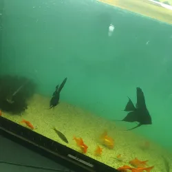 Haft Cheshmeh Park - Orumiyeh