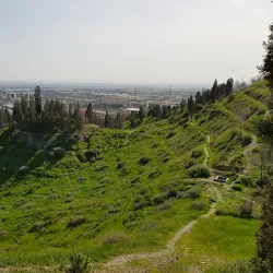 Chitgar Forest Park - Pardis